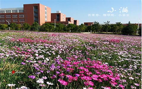 昆明医科大学·小满