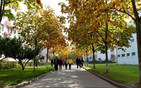 山西农业大学·校园小路