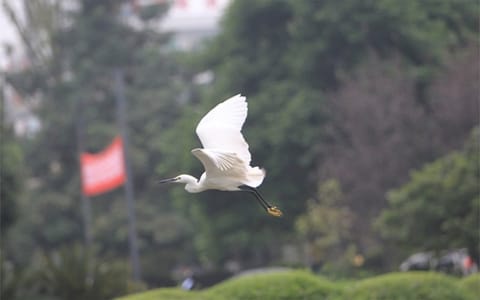 西南石油大学·西南石油大学6