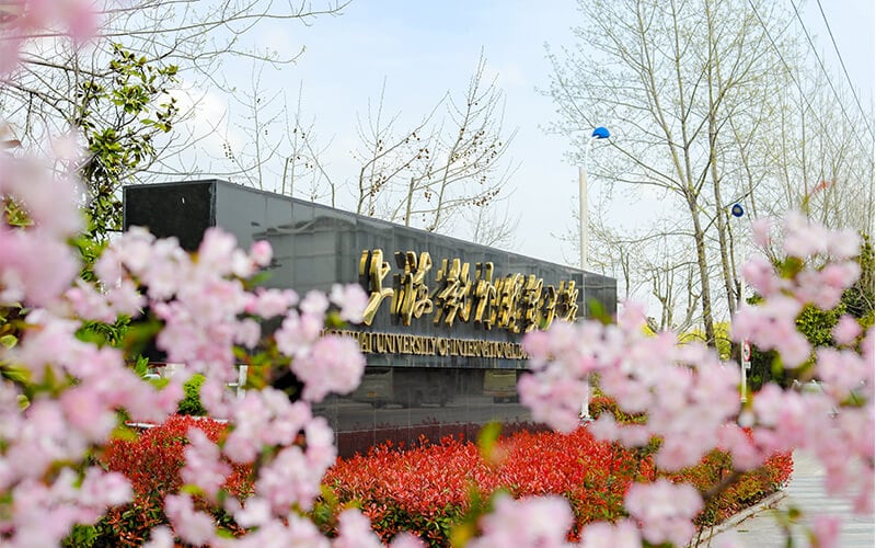 上海对外经贸大学主图·春2