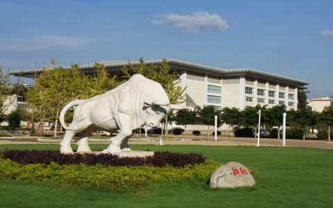 云南农业大学·雕塑