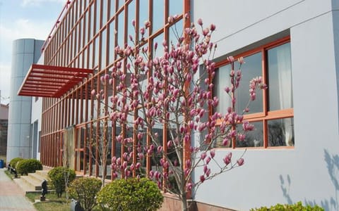 天津商业大学宝德学院·校园风光(2)