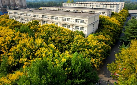 郑州美术学院·校园建筑群