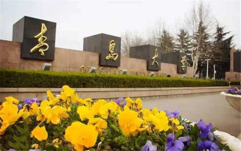 青岛大学·校园风光2