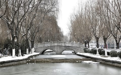 洛阳理工学院·冬雪3