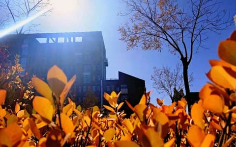 太原师范学院·秋日暖阳