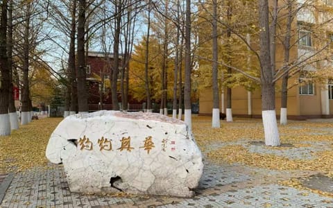 辽宁大学·校园风光