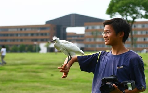 宁波大学·宁波大学白鹭
