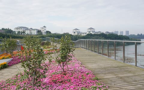 广东东软学院·校园环境2