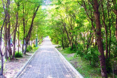 黑龙江工业学院·校园风光6