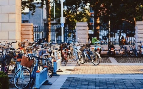 北京语言大学·深秋