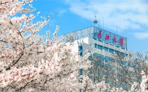 长江大学·樱花和主楼