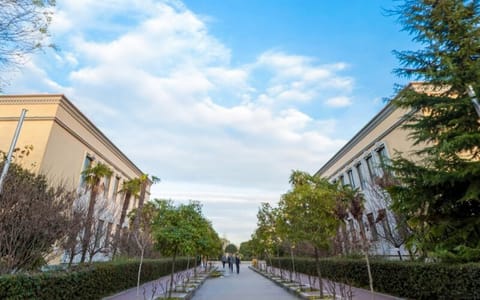 西北大学现代学院·艺传路口