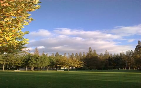 青岛农业大学海都学院·蓝天