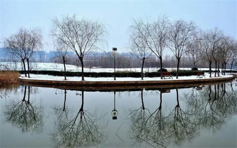 新乡学院·湖景