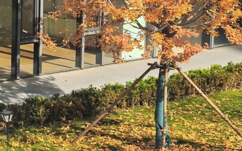 北京电子科技学院·校园风光
