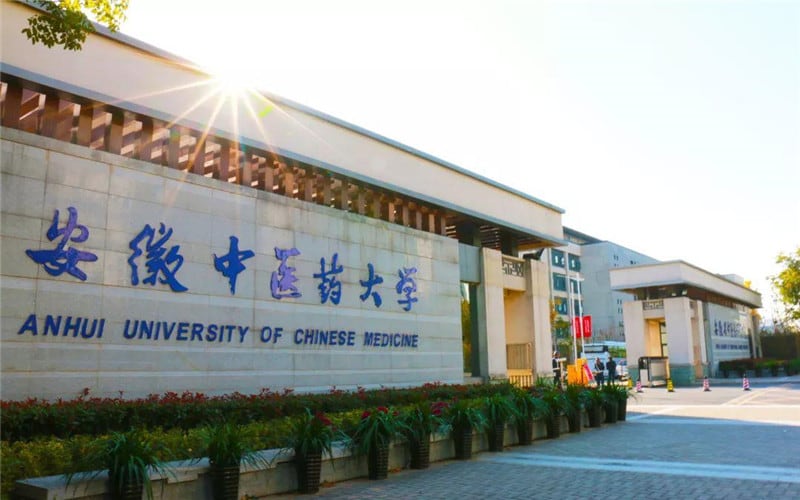 安徽中医药大学主图·校门