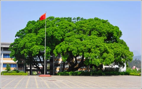 龙岩学院·校园风采