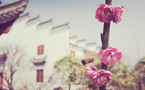 上海视觉艺术学院·校园风光