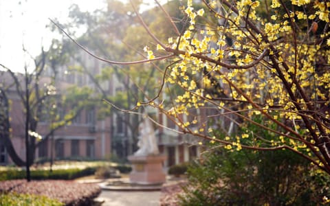 东华大学·校园风光3