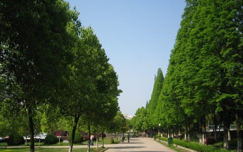 南昌大学共青学院·校园风光