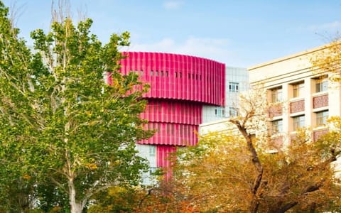 新疆财经大学·校园风光