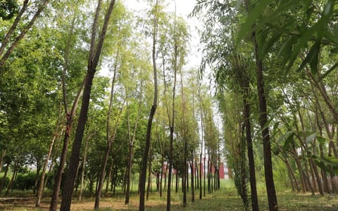 齐齐哈尔工程学院·校园风光