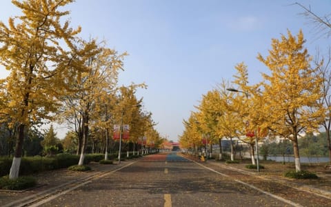 重庆交通大学·校园风光