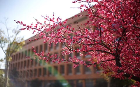 浙江财经大学东方学院·春日生机