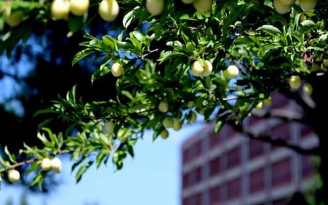 长春大学旅游学院·校园风光4