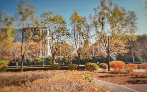 山西工学院·校园风光