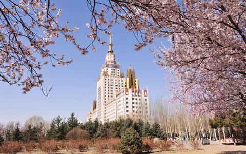 内蒙古工业大学·电力大楼2