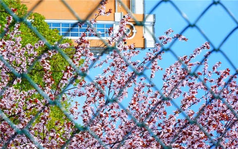六盘水师范学院·校园风光12