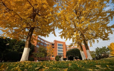 成都大学·校园风光