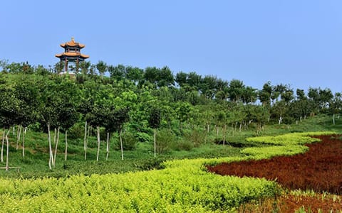 天津中医药大学·魅力天中6