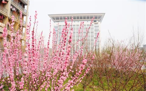河南财经政法大学·校园风光5