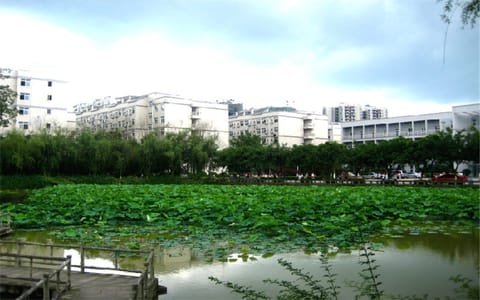 重庆对外经贸学院·校园春色