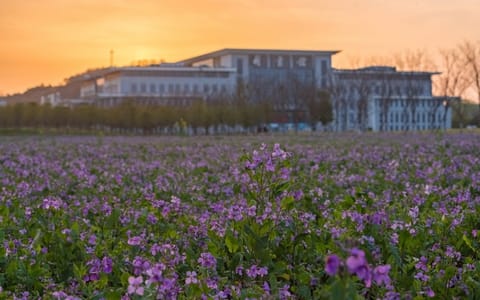 南京邮电大学·校园风光