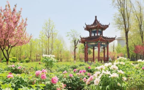山东第二医科大学·校园风光