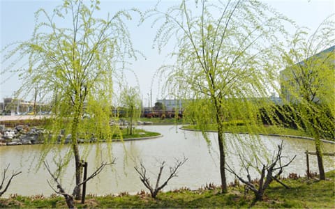 合肥师范学院·校园风光