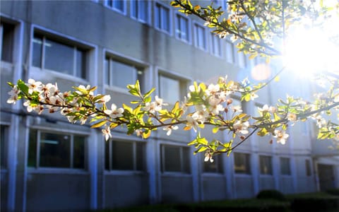 阜阳师范大学·校园风光