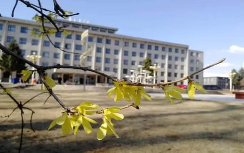 吉林农业科技学院·y迎春