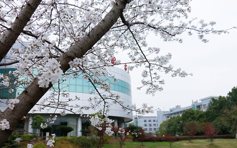 武汉工程大学·6春1