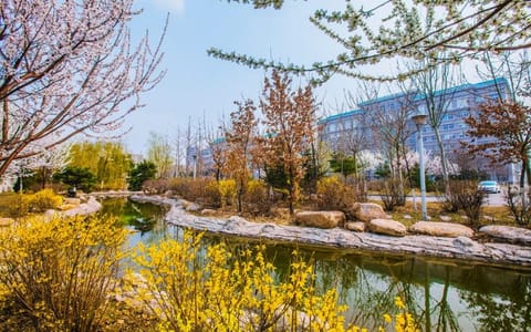 沈阳大学·沈阳大学春暖校园