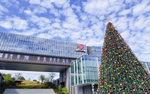香港中文大学(深圳)·04行政楼和圣诞树