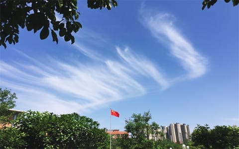 四川师范大学·四川师范大学8