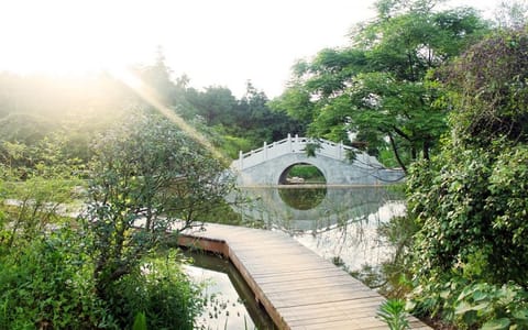 江西中医药大学·桥