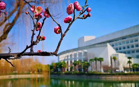 上海大学·校园风光6