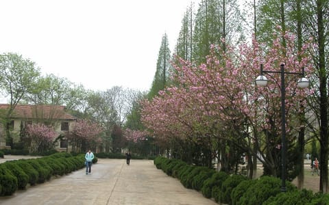 南昌大学共青学院·校园风光