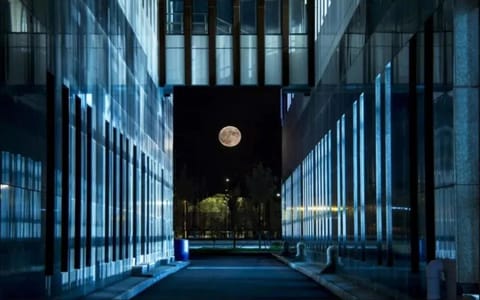 北京航空航天大学·综合体育馆